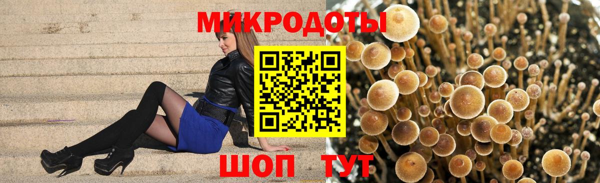 Псилоцибиновые грибы прущие грибы Кизляр