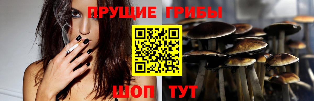 Псилоцибиновые грибы MAGIC MUSHROOMS  Вход с VPN  Кизляр 